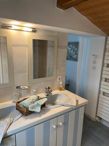 uma casa de banho com um lavatório e um espelho em Chambres d'hôtes LES CHENES VERTS em Le Grand Vieil