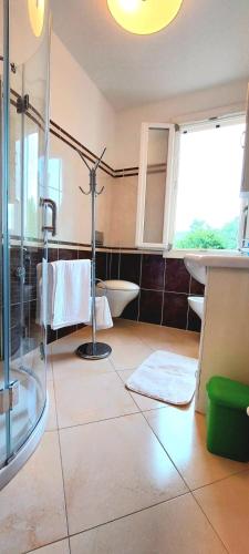 a bathroom with a shower and a sink at Antico Principato di Seborga in Vallebona