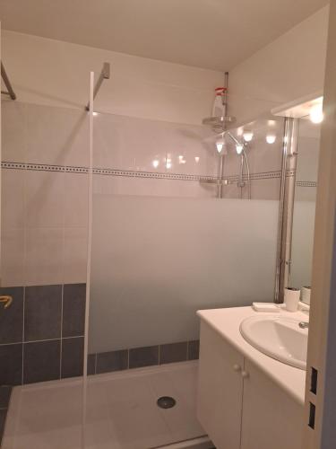 une salle de bain avec douche et lavabo dans l'établissement 80 m de la plage, à Fréjus