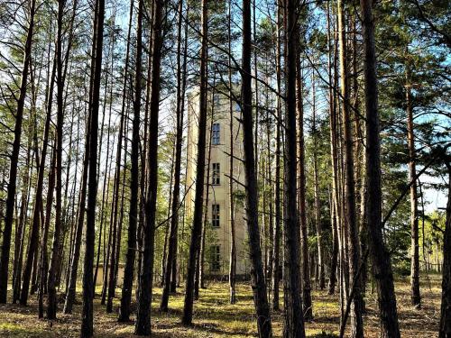 a building in the middle of a forest of trees at Wasserturm Spreewitz 