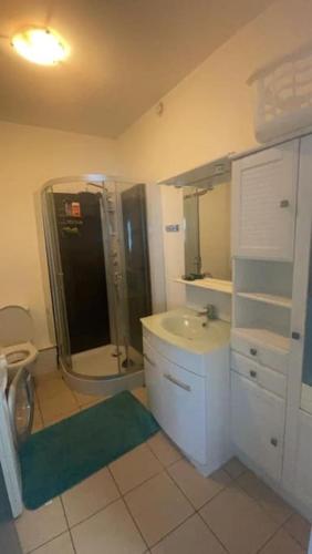 une salle de bain avec une douche, un lavabo et des toilettes dans l'établissement Appart de 5 chambres sur Nancy, à Nancy