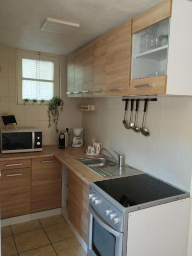 une cuisine avec un évier et une cuisinière four supérieur dans l'établissement Aux logis du Lac de Castillon, à Saint-Julien-du-Verdon