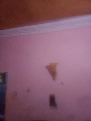 um quarto com uma parede roxa com um guarda-chuva em Residence Ola em Porto-Novo