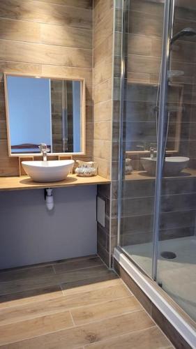 une salle de bain avec un lavabo et une douche en verre dans l'établissement Maison de village du XVII siècle en Camargue, à Le Cailar
