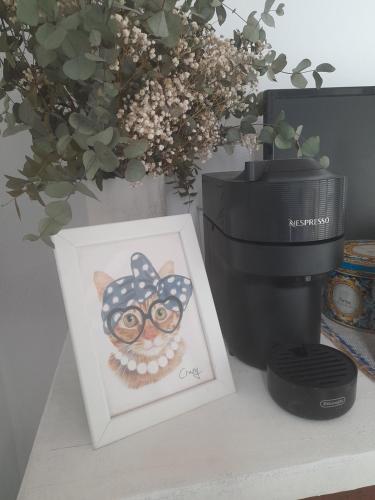a picture of a cat with glasses on a table at Villa Oliva in Sanlúcar la Mayor
