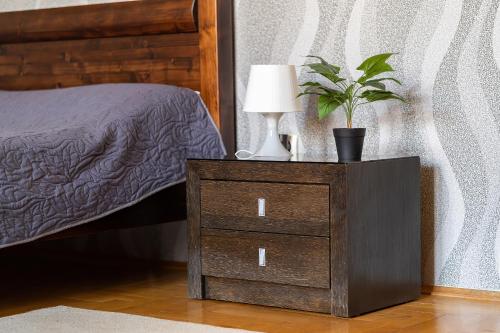 a nightstand with a lamp and a plant on it at Tomka Apartman in Szeged