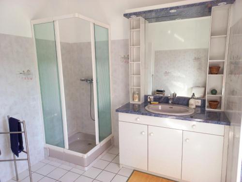 a bathroom with a shower and a sink at Gîte du Lac in Largillay-Marsonnay