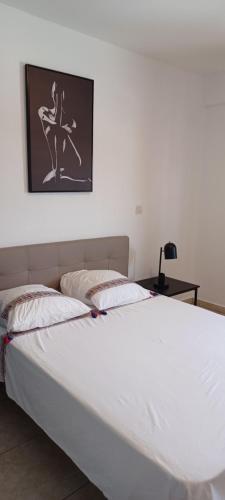 Llit o llits en una habitació de NANA A33 Appartement 2 Chambres Climatisées cuisine équipée Netflix