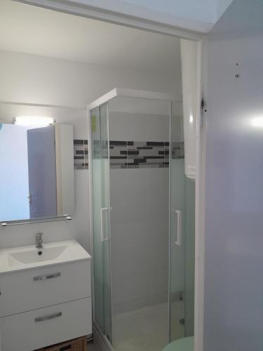 une salle de bain avec une douche, un lavabo et un miroir dans l'établissement Le Sablé, à Frontignan