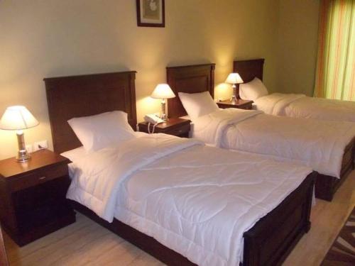two beds in a hotel room with two lamps at Sharm el shiekh sports city in Sharm El Sheikh