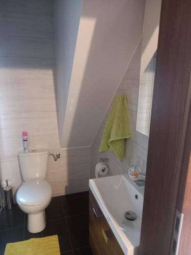 ein Badezimmer mit einem weißen WC und einem Waschbecken in der Unterkunft Olesiówka in Nowinka