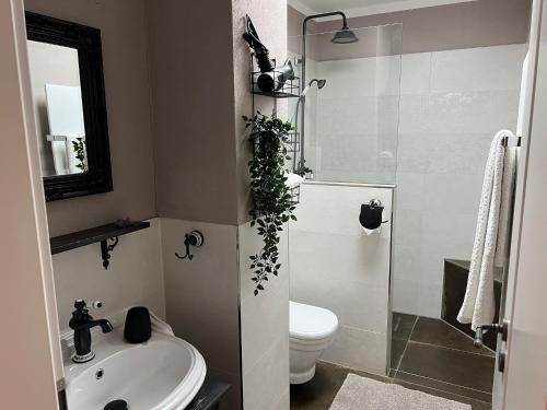 a bathroom with a sink and a toilet and a shower at Der Moserhof in Oberaurach