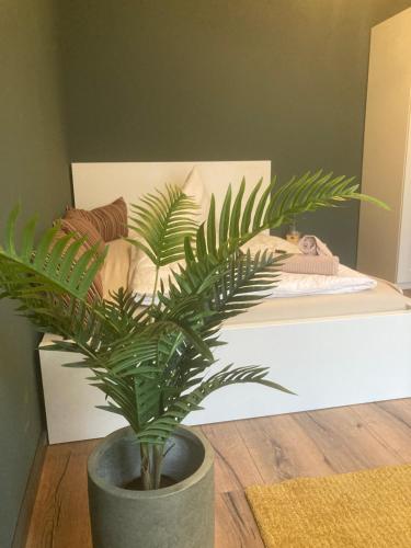 a potted plant sitting on a table next to a bed at Hotel Zum Alten Schlagbaum in Wegberg