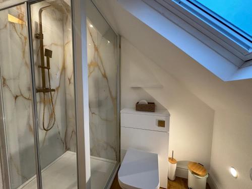 y baño con ducha y aseo. en Braithwaite House Rooms en Braithwaite