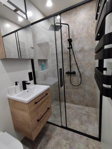 a bathroom with a shower and a sink at Courtyard Condo Sunset in Liepāja