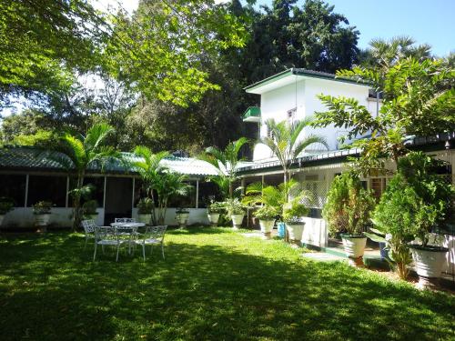 Zahrada ubytování Levi's Tourist – Anuradhapura