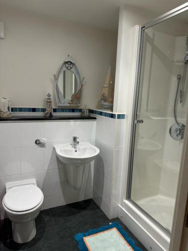 La salle de bains est pourvue de toilettes, d'un lavabo et d'une douche. dans l'établissement Riverview, à Colchester