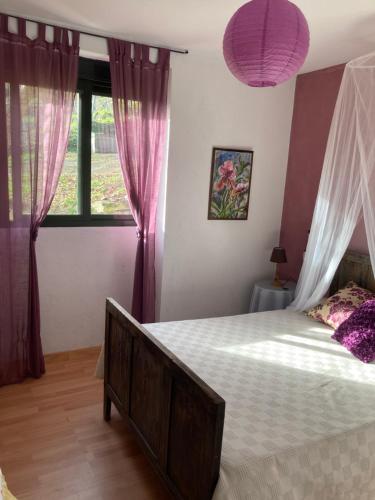 1 dormitorio con 1 cama grande y cortinas moradas en Mirar&Soñar, en Chantada