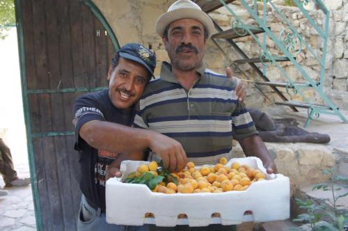 two men are holding a tray of oranges at Fig tree hotel in Dana