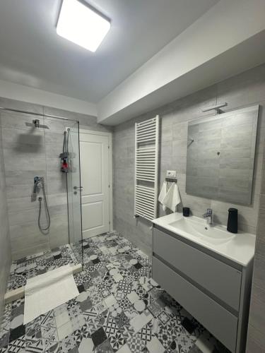 a bathroom with a sink and a shower at GreenRooms Rare Apartment Central of Suceava in Suceava