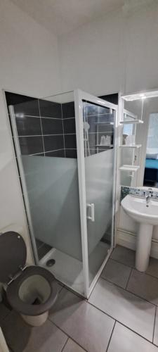 ein Bad mit einem WC und einem Waschbecken in der Unterkunft HOTEL DE FRANCE in Éguzon-Chantôme
