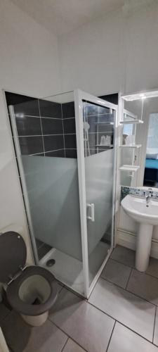 a bathroom with a toilet and a sink at HOTEL DE FRANCE in Éguzon-Chantôme