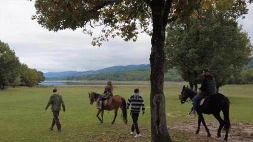 a group of people riding horses in a field at Margarita's House in Kalyvia Fylaktis
