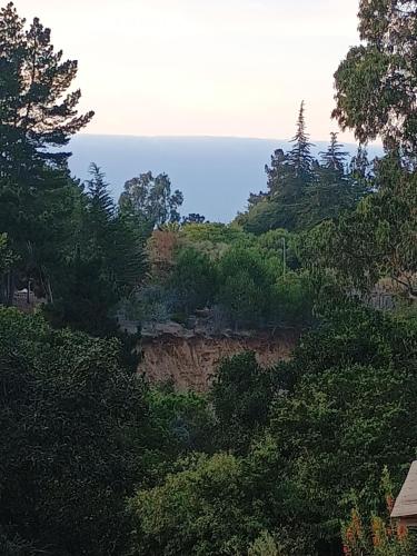 - Vistas a una colina con árboles y al océano en Naturaleza viva Algarrobo, en San Antonio