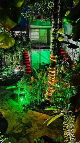 a garden with a palm tree in front of a building at Villa dos Graffitis Pousada in Morro de São Paulo