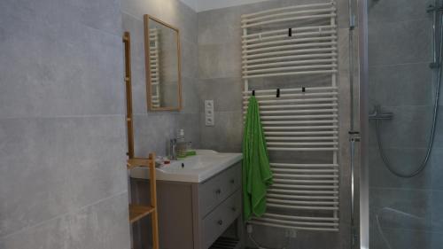 a bathroom with a sink and a shower at Domek w Lasówce in Lasowka
