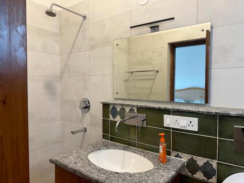 een badkamer met een wastafel en een spiegel bij Terra Cottage in Palāhu