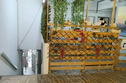 a wall of wine bottles and plants in a room at Kitty Home Near to Penang Hill in Ayer Itam