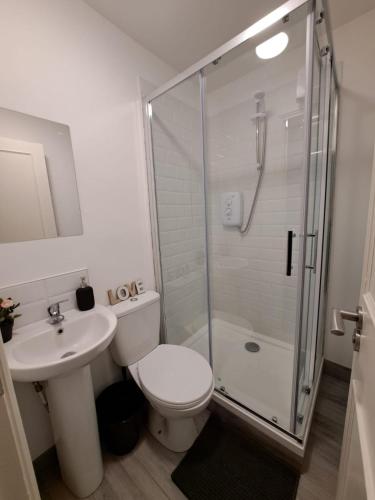 ein Bad mit einer Dusche, einem WC und einem Waschbecken in der Unterkunft Apartment near Trinity College in Dublin