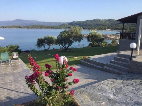 ブアブロウにあるBeachfront Villa Paradiseのピンクの花の植物