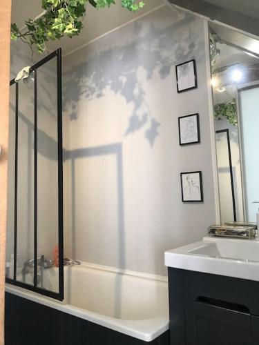 une salle de bain avec une douche, un lavabo et un miroir dans l'établissement Maisonnette le long du Loing, à Épisy