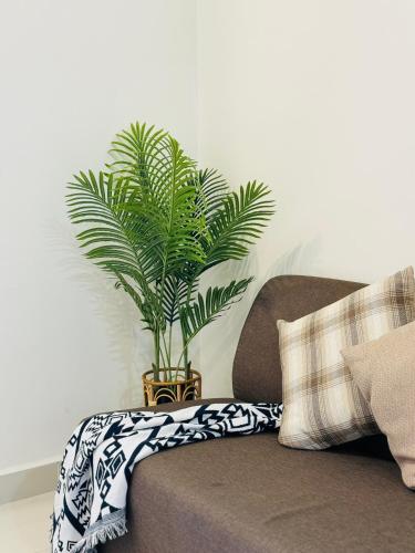 a plant sitting on top of a couch at CoreSoho Suite by BKAstaycation KotaWarisan Sepang KLIA Airport, Free Wifi in Sepang