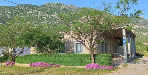 Holiday home in Cesarica 17117