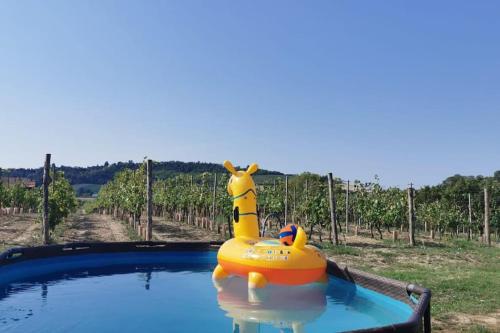 un pato inflable de caucho en una piscina en un viñedo en Cascina Olivetta -sleep in winery, en Moncalvo