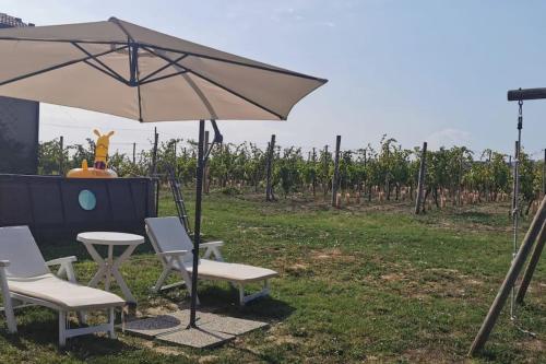 uma mesa e cadeiras e um guarda-sol num campo em Cascina Olivetta -sleep in winery em Moncalvo