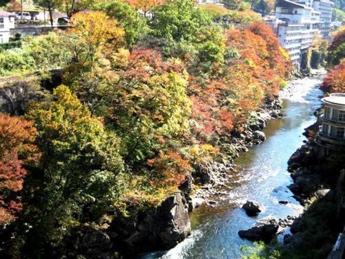 a view of a river with colorful trees on the side at Minakami Hotel Juraku in Minakami