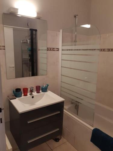 une salle de bain avec un lavabo et une douche avec un miroir dans l'établissement Appartement au centre-ville Concarneau, à Concarneau