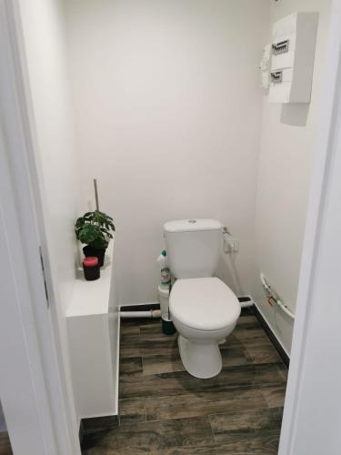 La salle de bains blanche est pourvue de toilettes. dans l'établissement Le comptoir des grenouilles, à Marseille