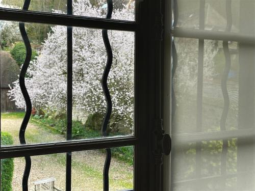 een open raam met uitzicht op een bloeiende boom bij EVERGREEN GuestHouse in Vernon