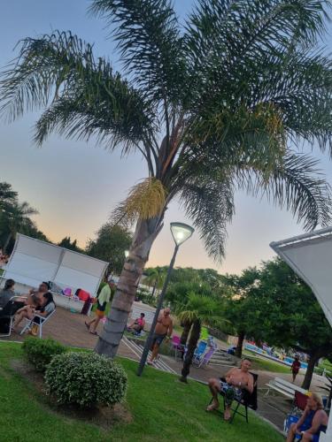 a palm tree and a light in a park at Naturaleza Termal in Chajarí