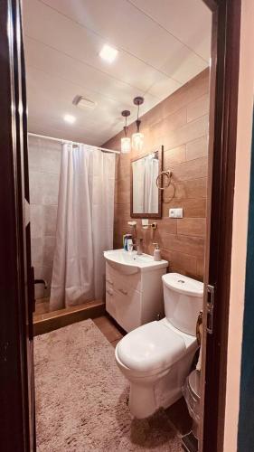 a bathroom with a toilet and a sink and a shower at Old Tatev Guesthouse in Tatʼev
