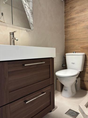 a bathroom with a sink and a toilet at Old Town Home Ioannina in Ioannina