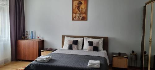 una camera da letto con un letto e due asciugamani di CAZARE SERGIO a Craiova