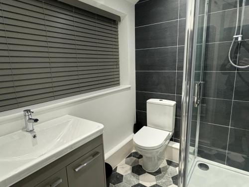a bathroom with a toilet and a shower and a sink at Herne Bay 2-Bedroom House with Private Hot Tub & Garden, Walk to Seafront in Kent