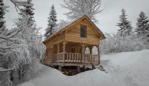a wooden cabin in a snow covered forest at Mestia Eco Huts 2 in Mestia