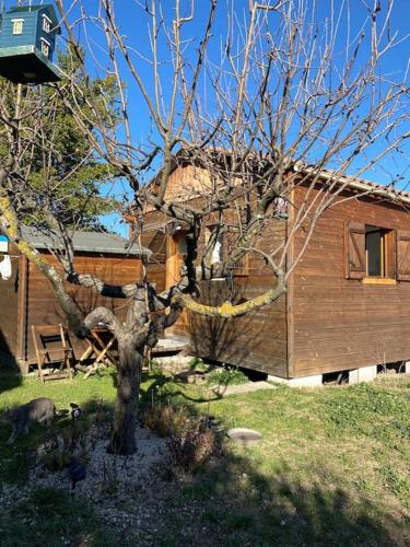 a tree in front of a wooden house at Le Chalet Pignantais in Pignans